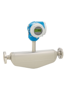 Proline Promass H 300  ͻѧʴĵƣһʽ